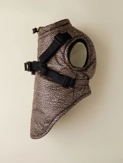 CAPPOTTINO