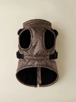 CAPPOTTINO